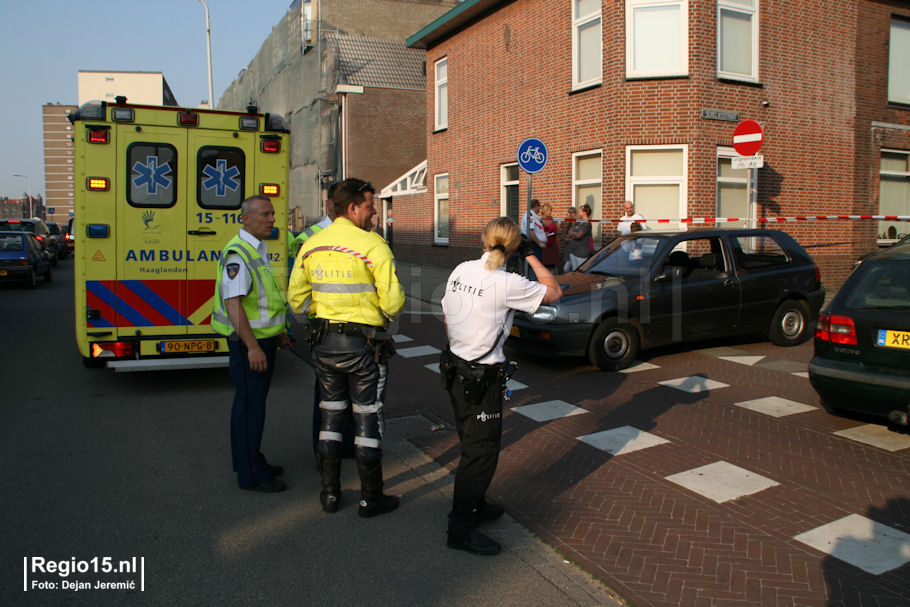 WDJ-IMG_2952