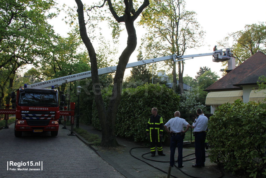 WMJ-IMG_2832