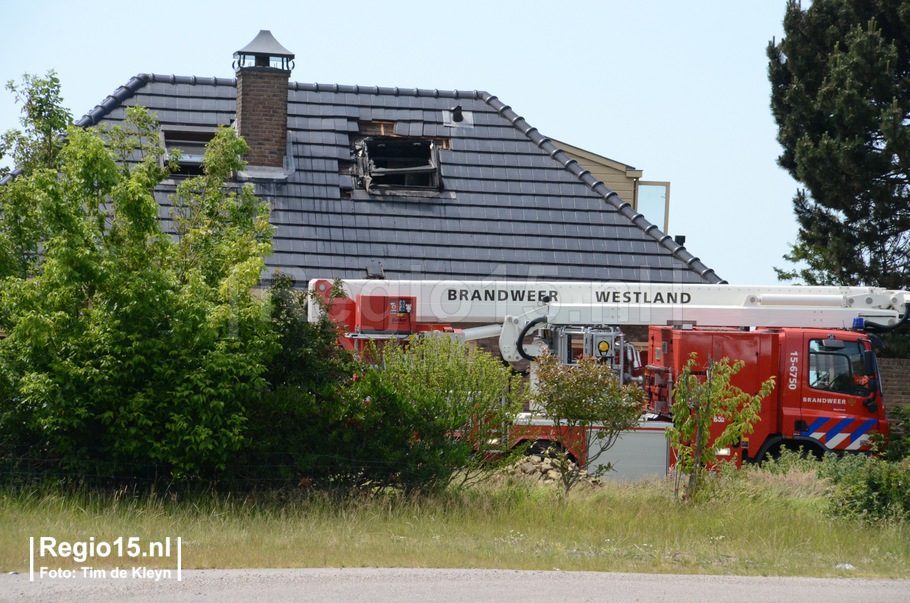 w-Rijnsburgerweg_TDK_9715