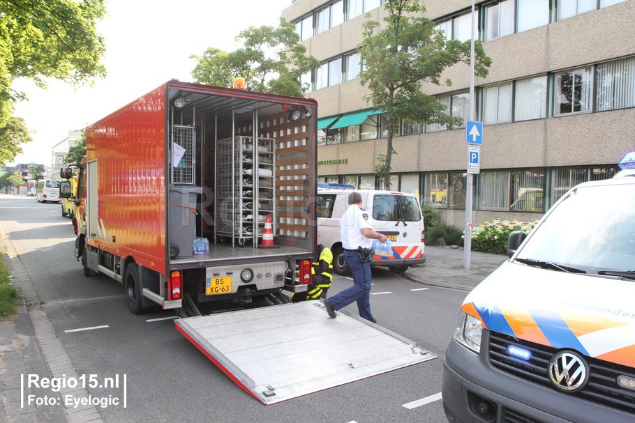 w-img 7004