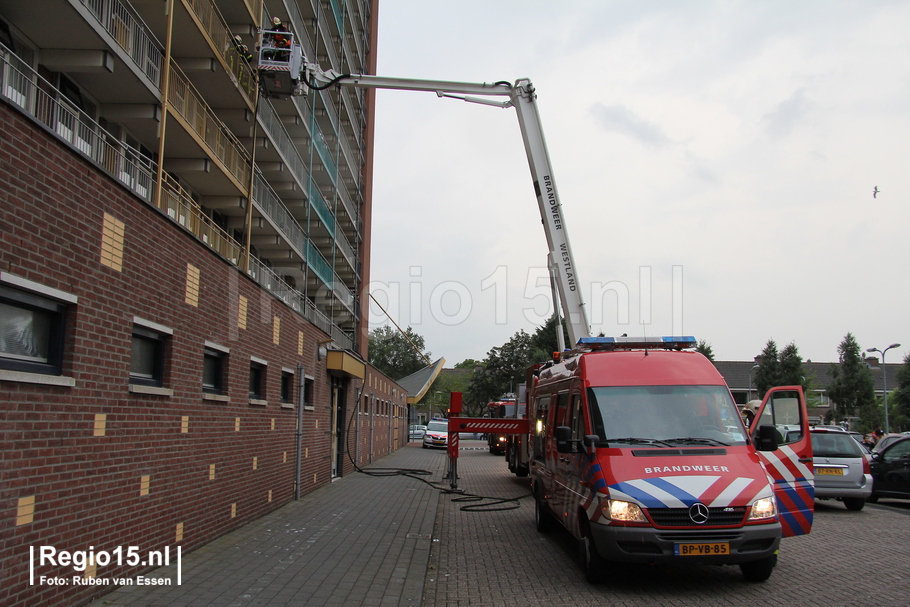 w-img 9223