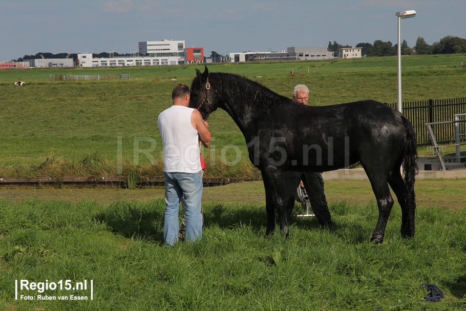 w-img 0116