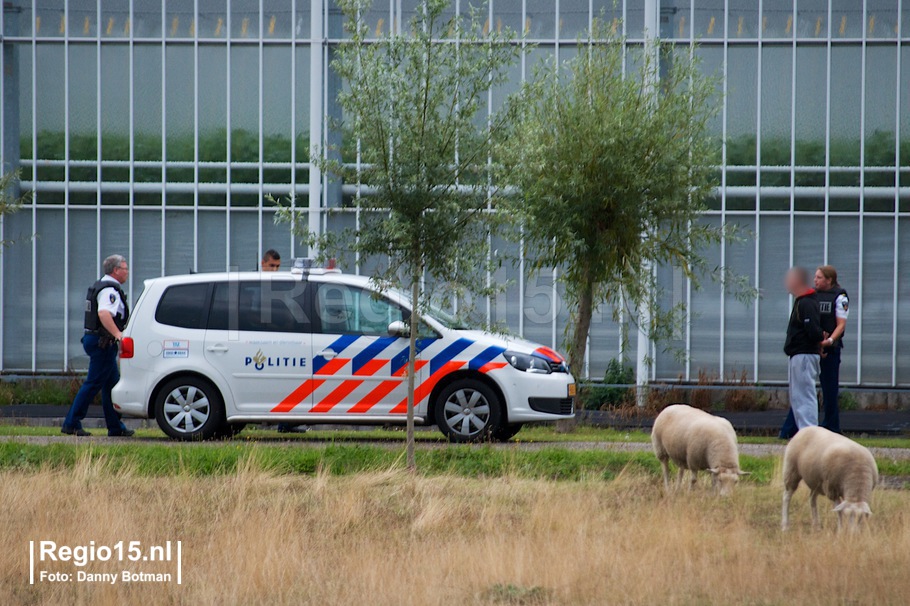 w-DB Zwartedijk DSC 3983