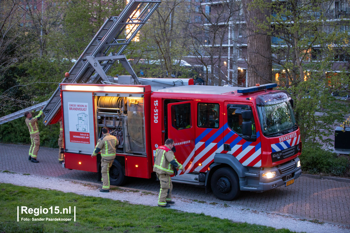 DBuBH5.jpg