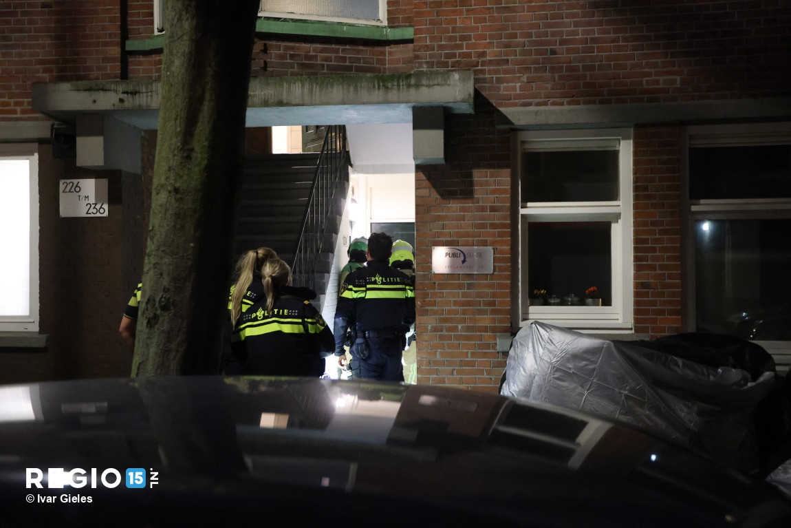 SqkibB.JPG