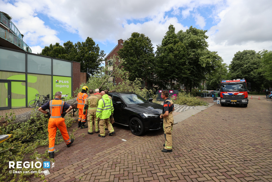 MJmadj.JPG