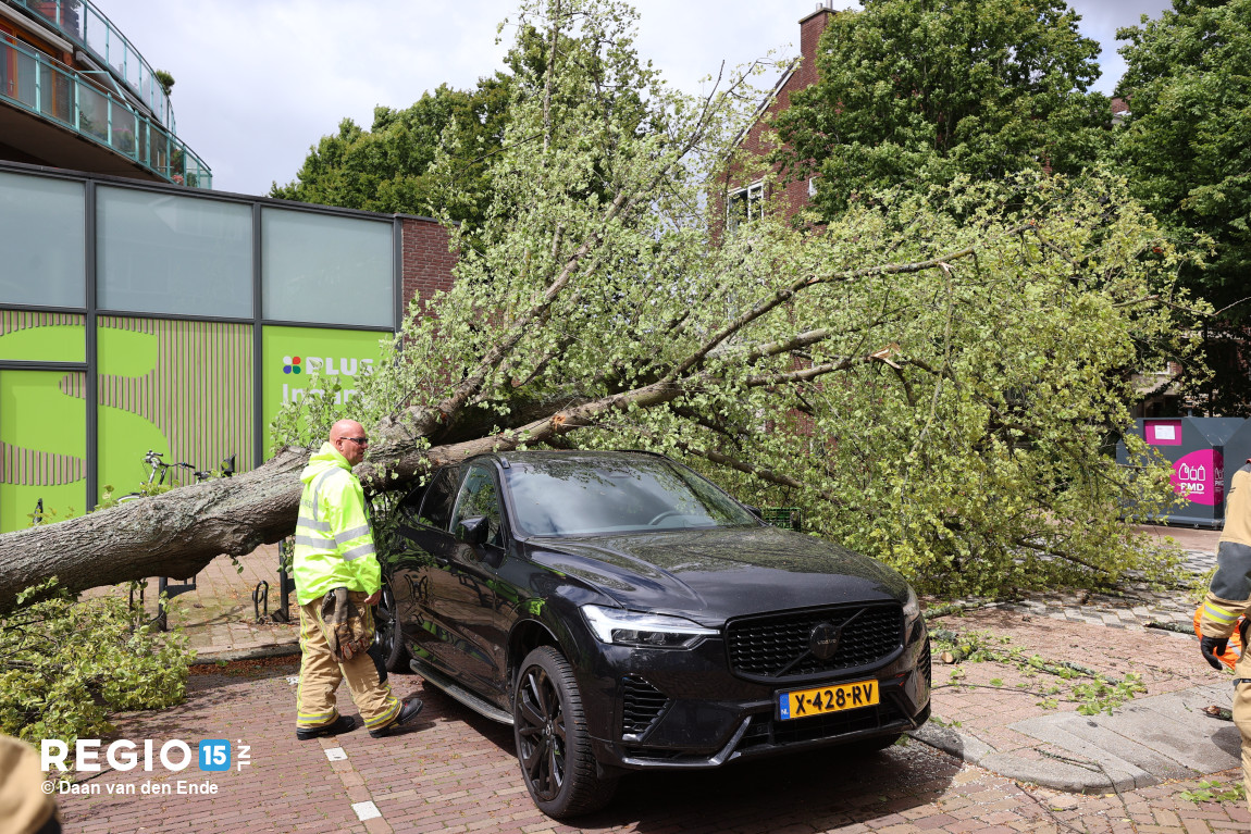 VoAvSr.JPG