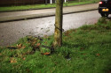 Nieuws