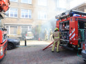 Nieuws