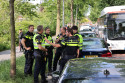 Nieuws