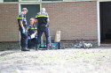 Nieuws