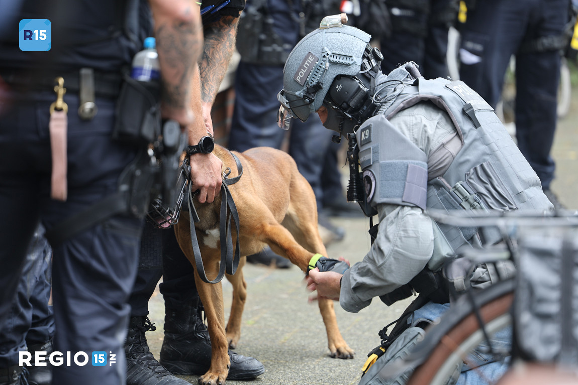 k9gyP8.JPG