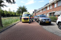Nieuws