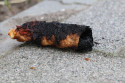 Nieuws