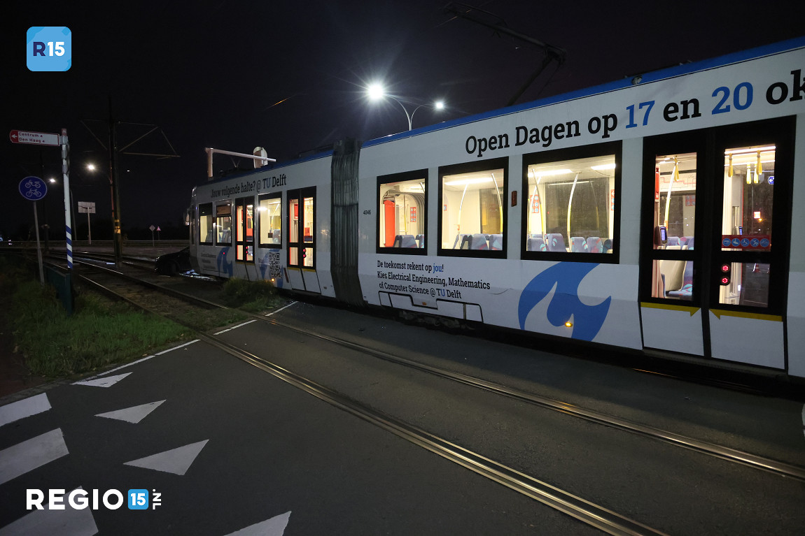 oPfW10.JPG