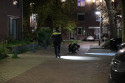 Nieuws