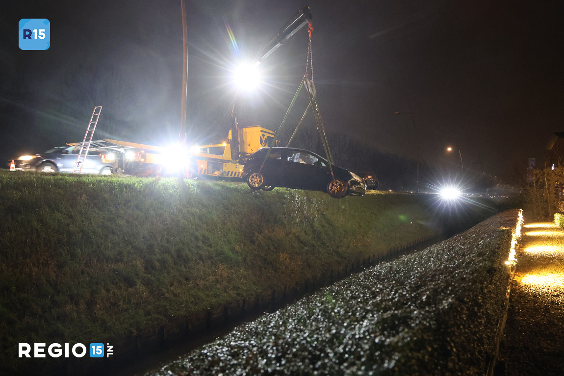 uq9dog.JPG