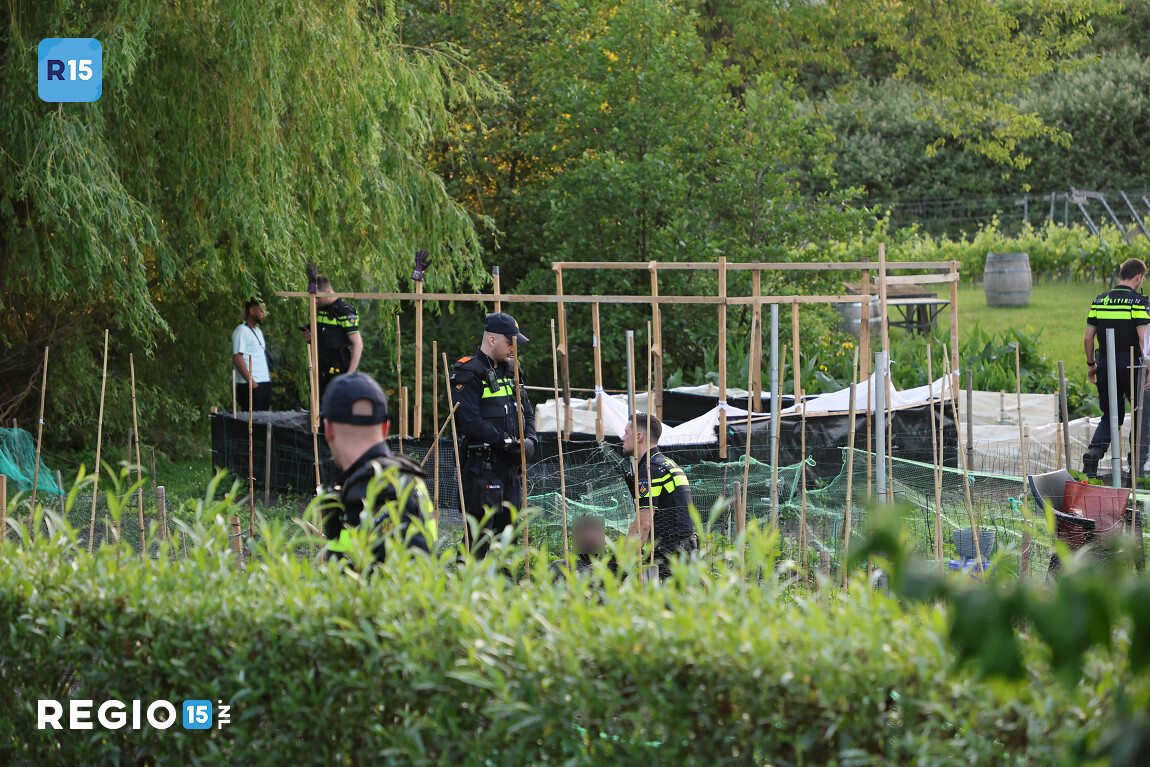 Lv9uY4.JPG