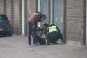 Nieuws