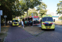 Nieuws