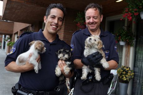 Dierenagenten met de inbeslaggenomen puppies