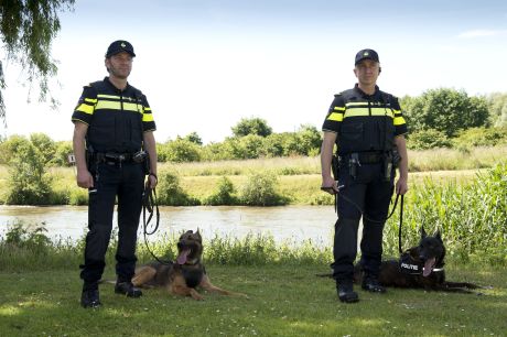 Uniform4
