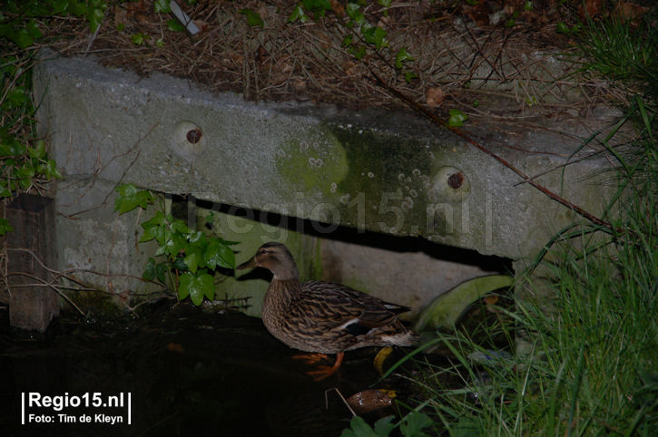 w-dsc_0772