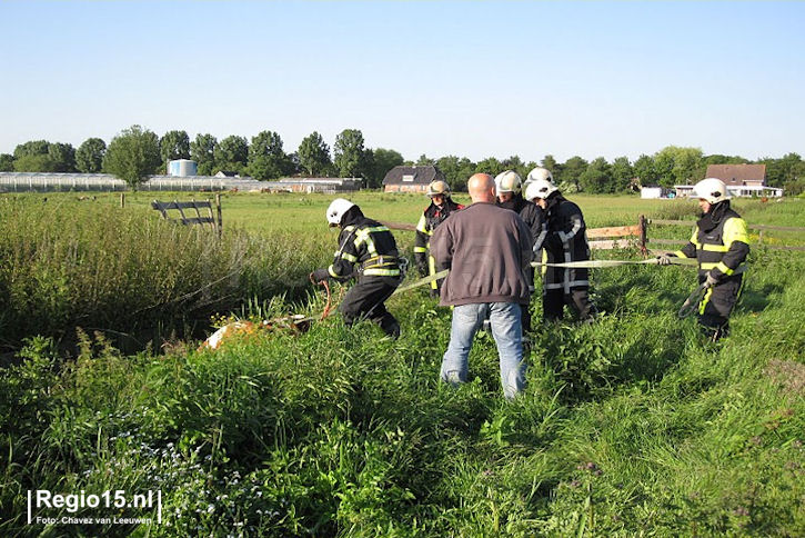 w-img_2145