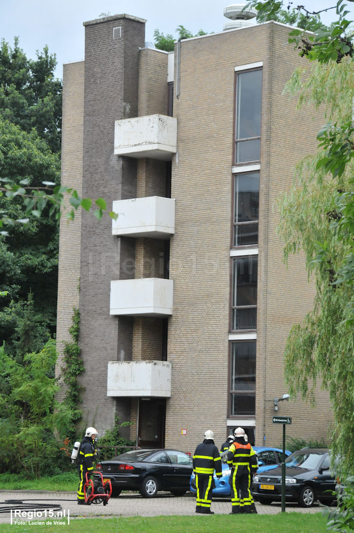 wl-dsc_1067