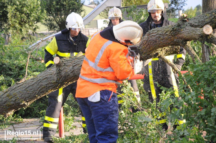 wh-freulewittewaalvanstoetwegen2